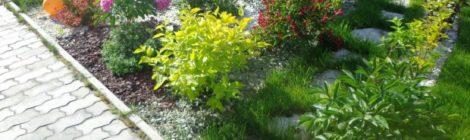 СУББОТНИК ПРОДОЛЖАЕТСЯ!