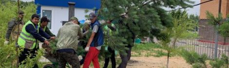 ОТЧЕТ ПО СУББОТНИКУ 14 ИЮЛЯ!